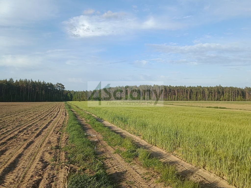 dom wolnostojący, 3 pokoje Wyszonki-Klukówek. Zdjęcie 48