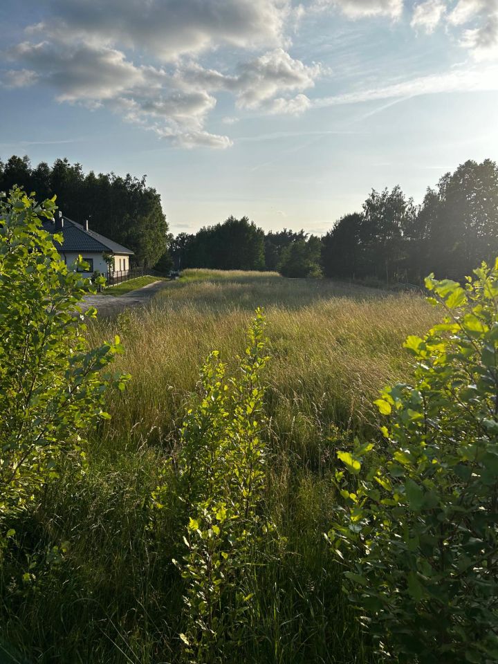 Działka budowlana Felinów. Zdjęcie 4