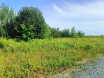 Działka budowlana Pełczyce, ul. Cicha. Zdjęcie 1