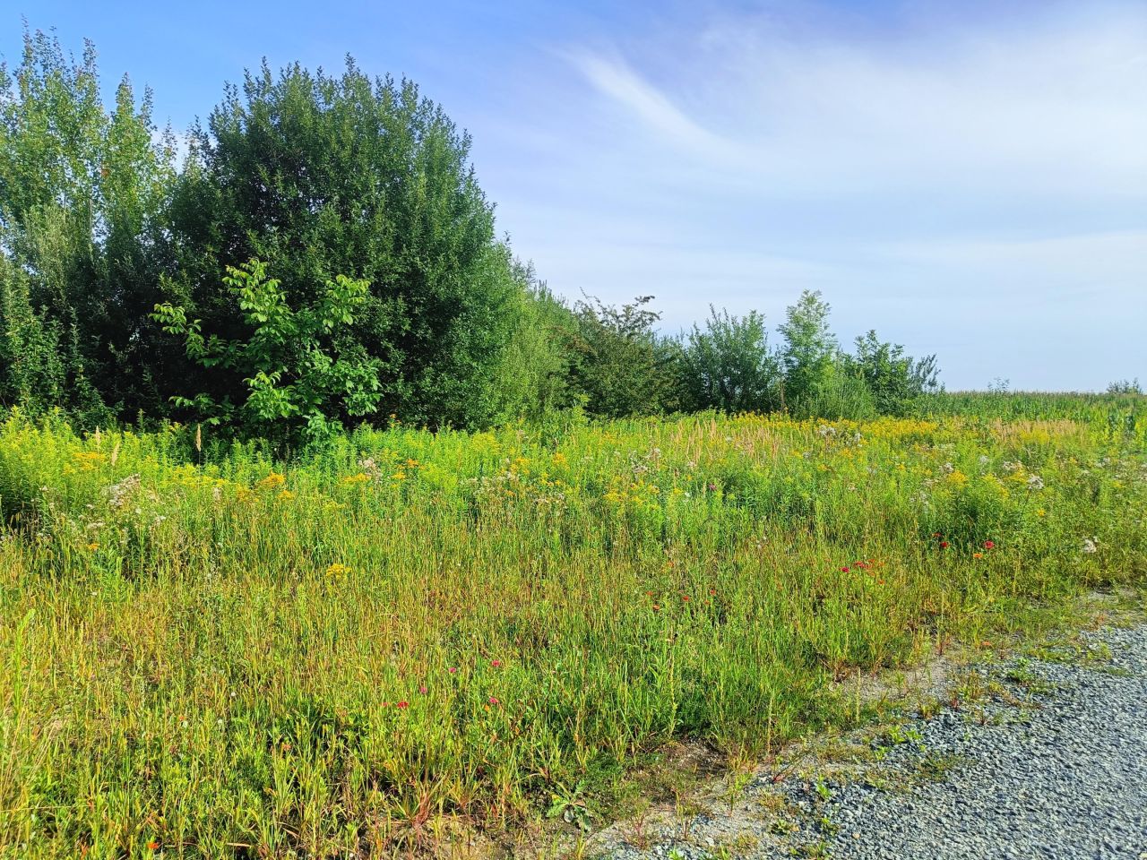 Działka budowlana Pełczyce, ul. Cicha. Zdjęcie 2
