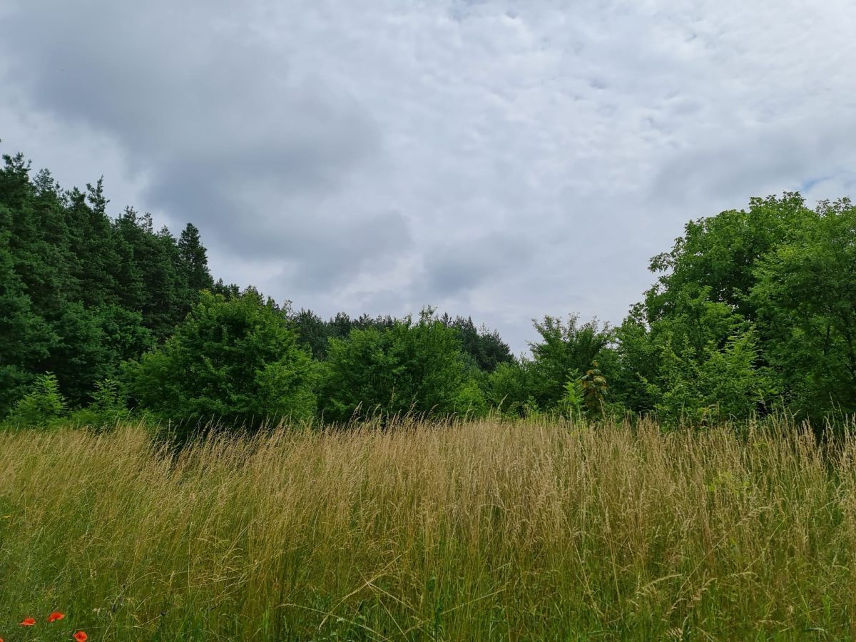Działka budowlana Oleszno, ul. Lednicka. Zdjęcie 9