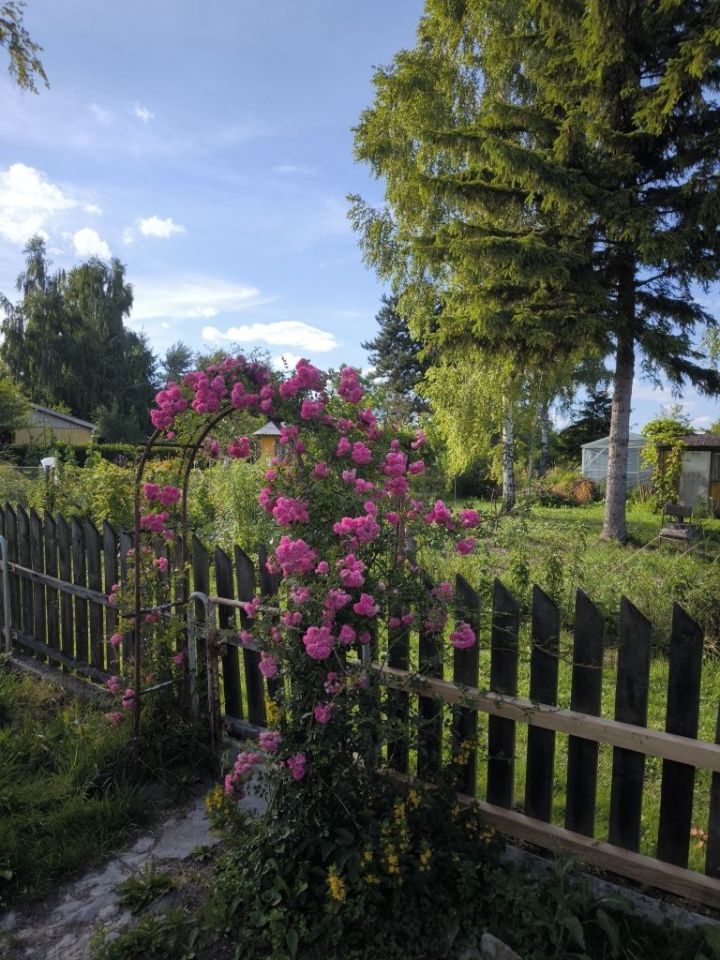 Działka rod Chełm. Zdjęcie 6