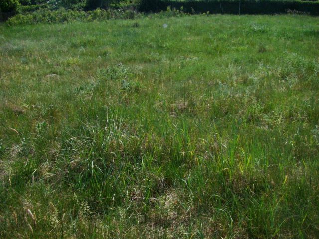 Działka budowlana Nowe Warpno. Zdjęcie 13