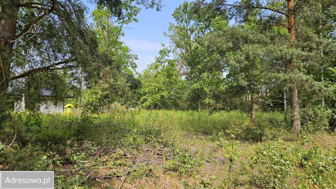 Działka leśna Hipolitów, ul. Dereniowa. Zdjęcie 2