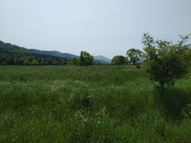 Działka budowlana Hucisko Chaśnikówka. Zdjęcie 1