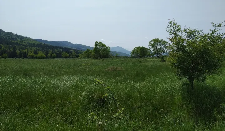 Działka budowlana Hucisko Chaśnikówka