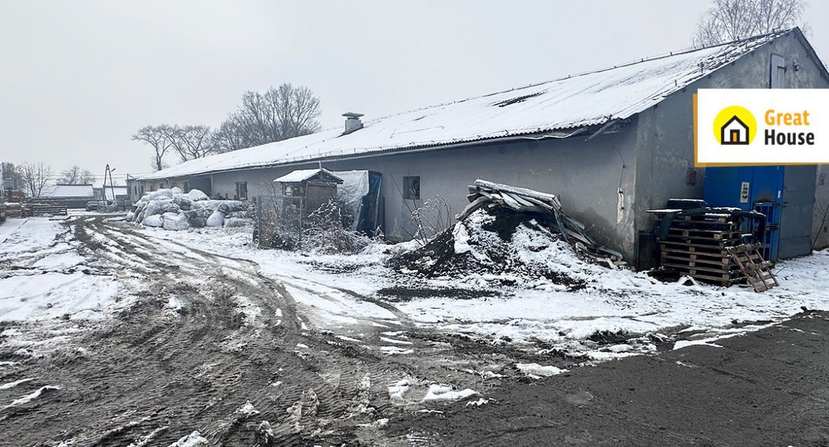 Hala/magazyn Racibórz, ul. Wiejska. Zdjęcie 4