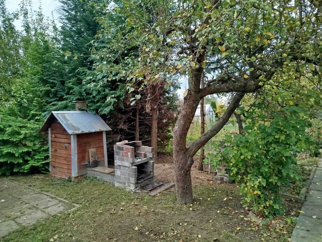 Działka rod Malbork. Zdjęcie 4