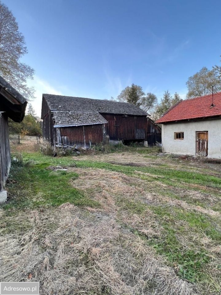 gospodarstwo, 3 pokoje Skopów. Zdjęcie 3