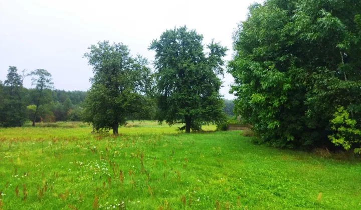 Działka rolno-budowlana Bielina