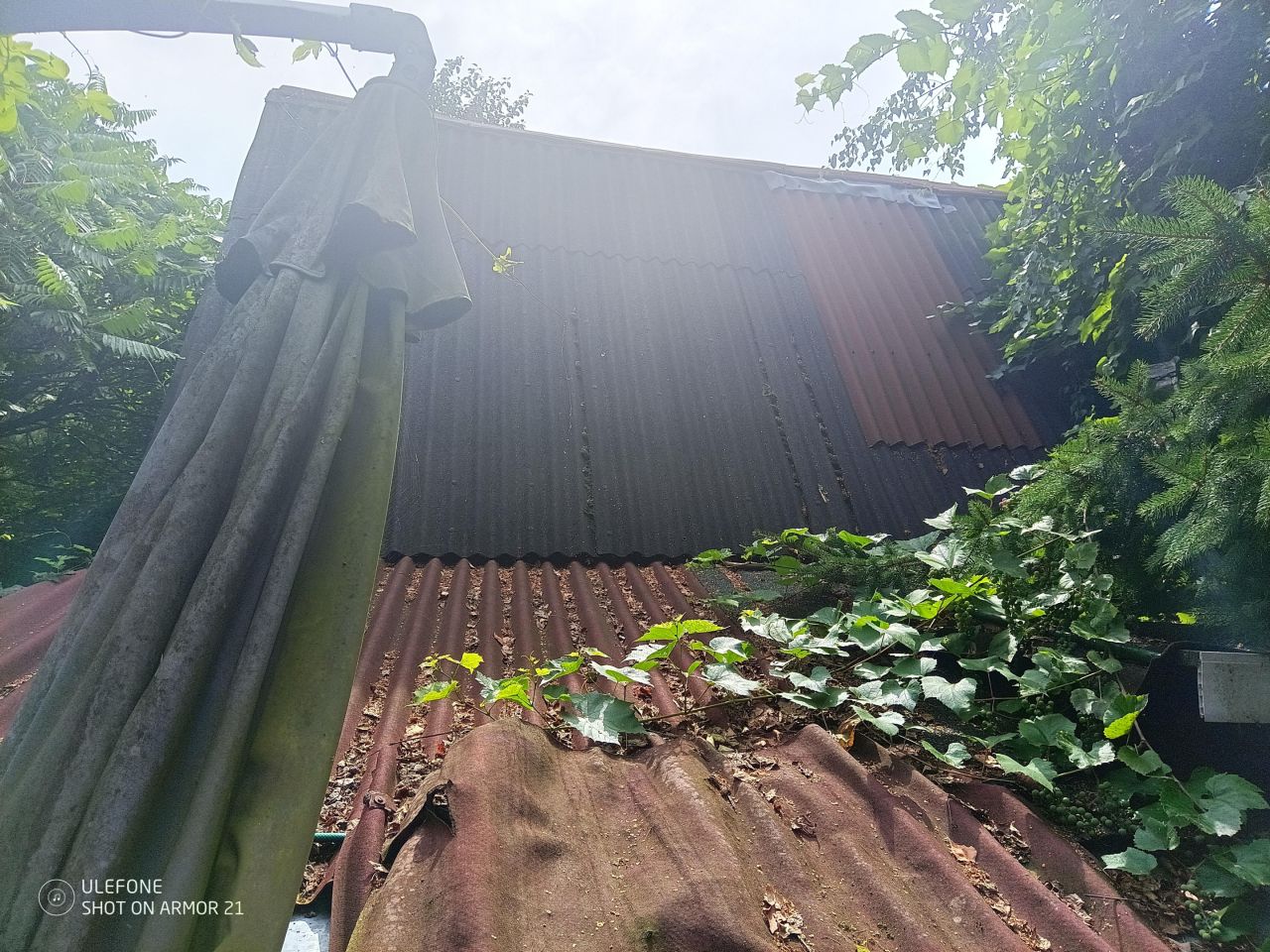 Działka rod Grzybiany, ul. Koskowicka. Zdjęcie 7