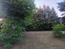 Działka rod Zielona Góra Przylep, ul. Przylep-Działkowa. Zdjęcie 2