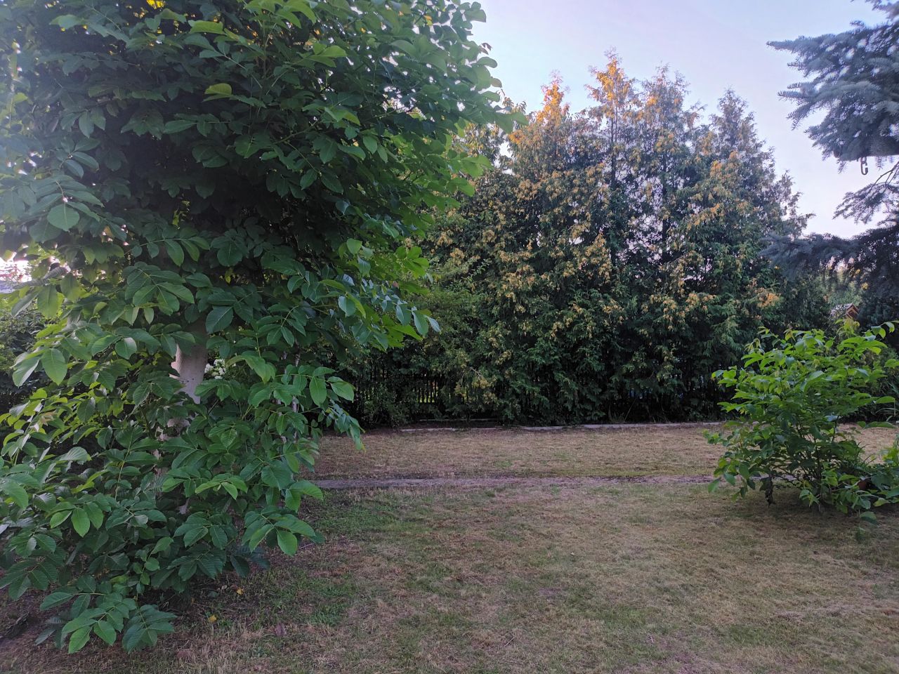 Działka rod Zielona Góra Przylep, ul. Przylep-Działkowa. Zdjęcie 3