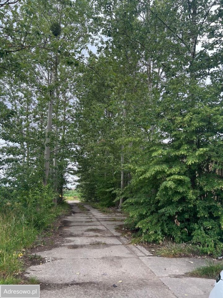 Hala/magazyn Kisiny. Zdjęcie 16