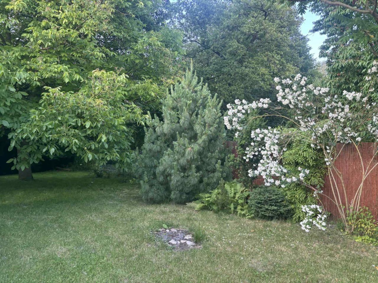 dom wolnostojący, 2 pokoje Czechów. Zdjęcie 14