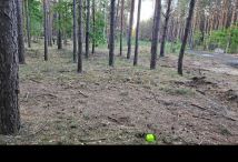 Działka budowlana Solec Kujawski, ul. Garbary. Zdjęcie 3