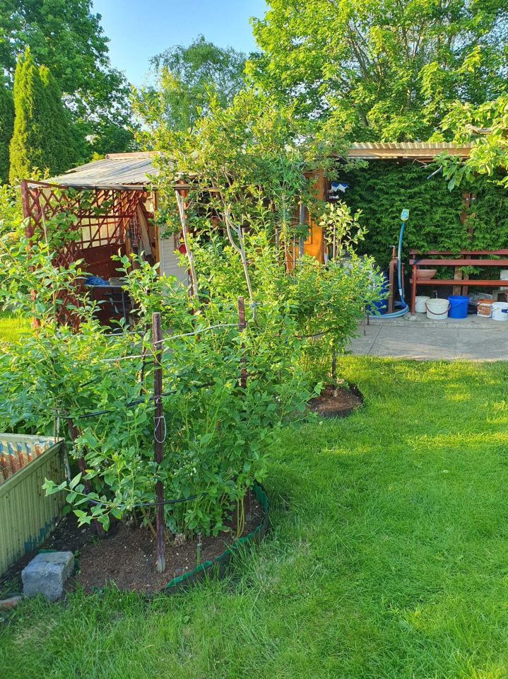 Działka rod Braniewo. Zdjęcie 3