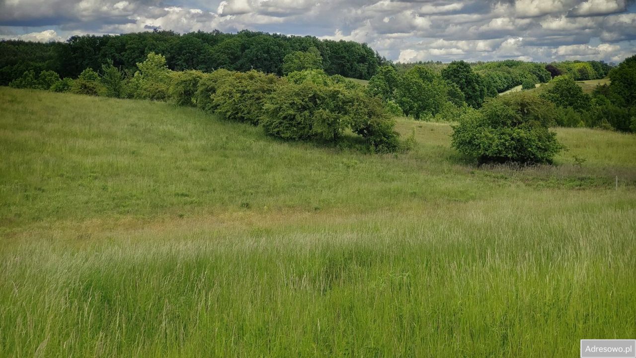 Działka rolna Łęgowo. Zdjęcie 13