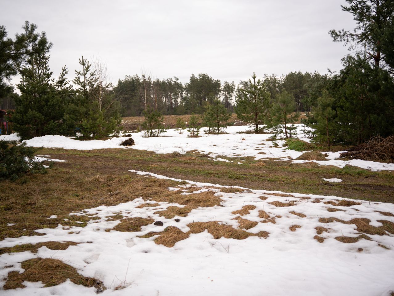 Działka inna Linia, ul. Długa. Zdjęcie 6