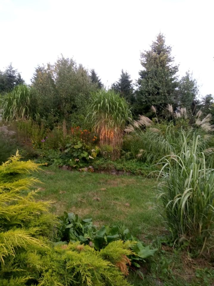 Działka budowlana Życiny. Zdjęcie 16