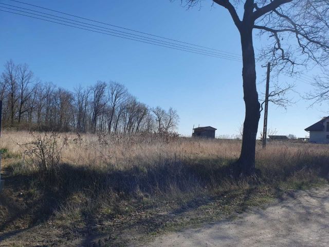 Działka budowlana Brzezie. Zdjęcie 1