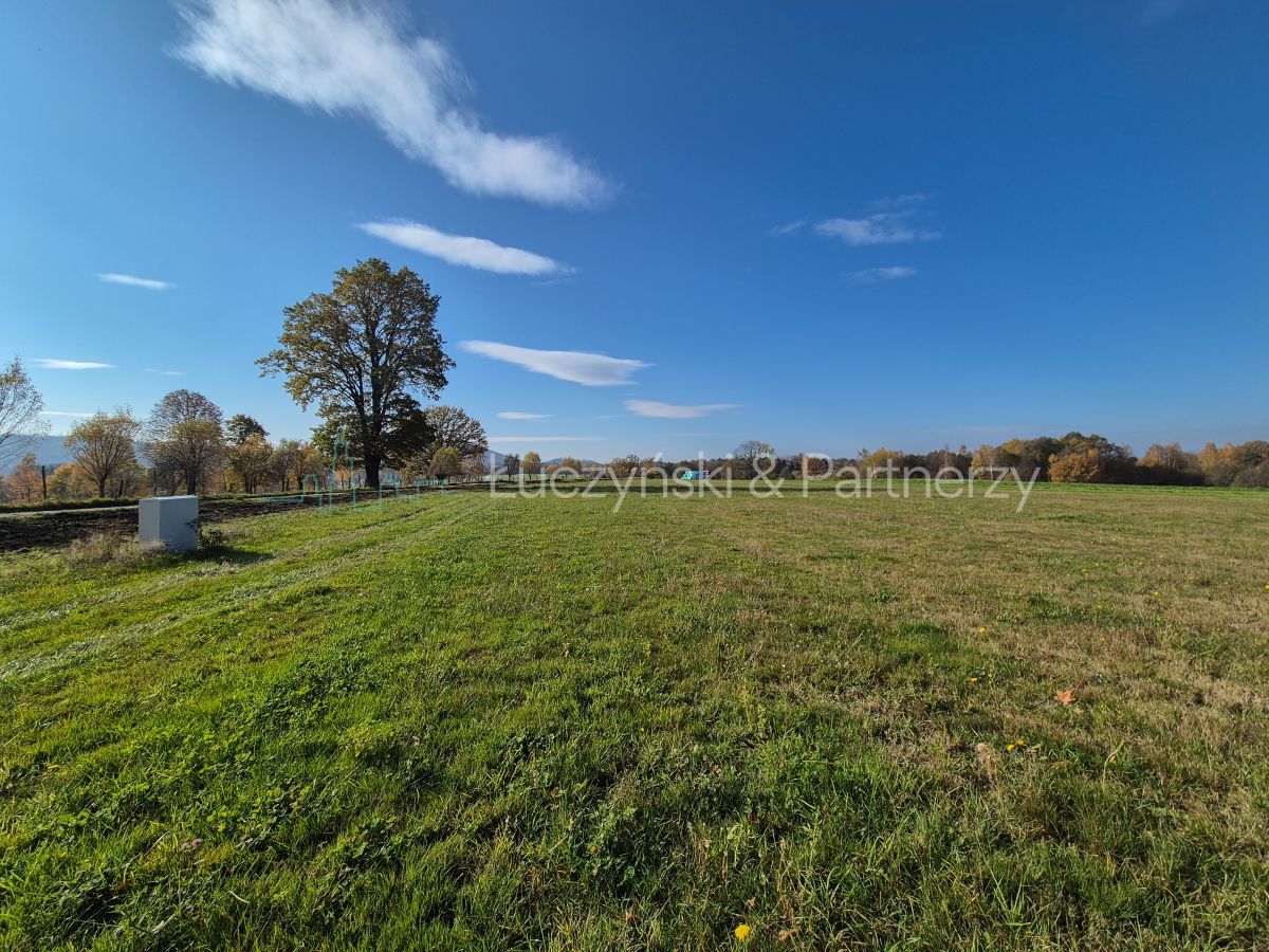 Działka budowlana Janowice Wielkie. Zdjęcie 5