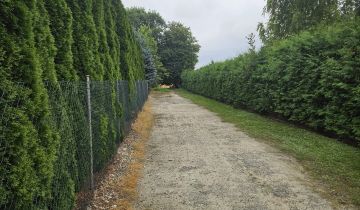 Działka budowlana Łabunie, ul. Wierzbowa