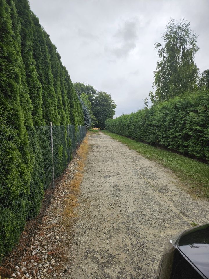 Działka budowlana Łabunie, ul. Wierzbowa. Zdjęcie 2