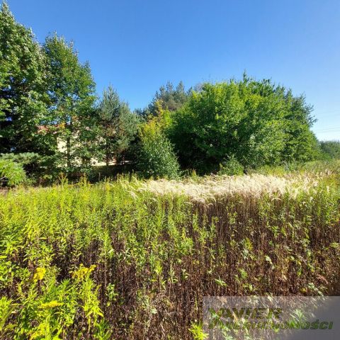 Działka budowlana Dębe Wielkie, ul. Powstańców. Zdjęcie 2