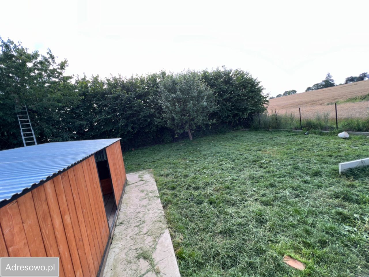 gospodarstwo, 4 pokoje Sampława. Zdjęcie 14