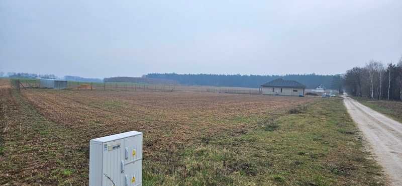 Działka budowlana Nowy Dwór. Zdjęcie 2