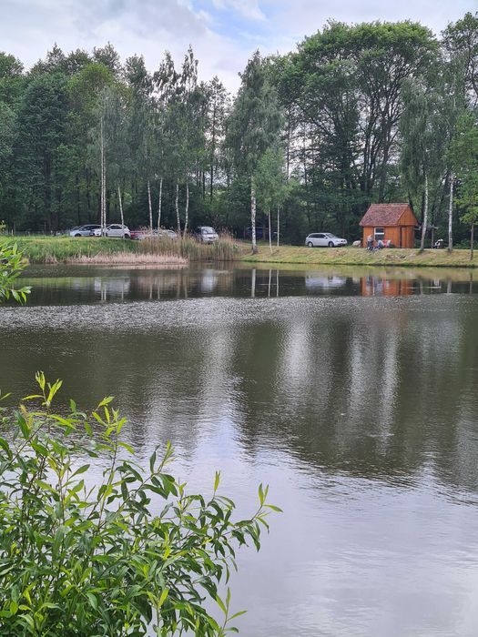 Działka rekreacyjna Zawidów. Zdjęcie 4