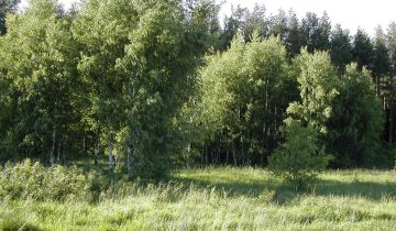 Działka budowlana Parszczyce, ul. Leśna