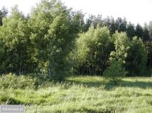 Działka budowlana Parszczyce, ul. Leśna