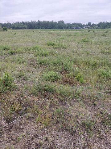 Działka rolno-budowlana Dzierżązna, ul. Jesienna. Zdjęcie 3
