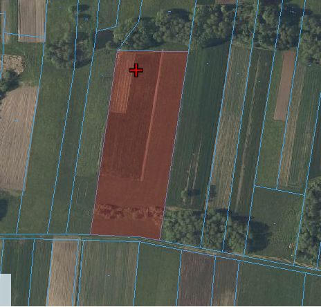 Działka rolna Żmijowiska