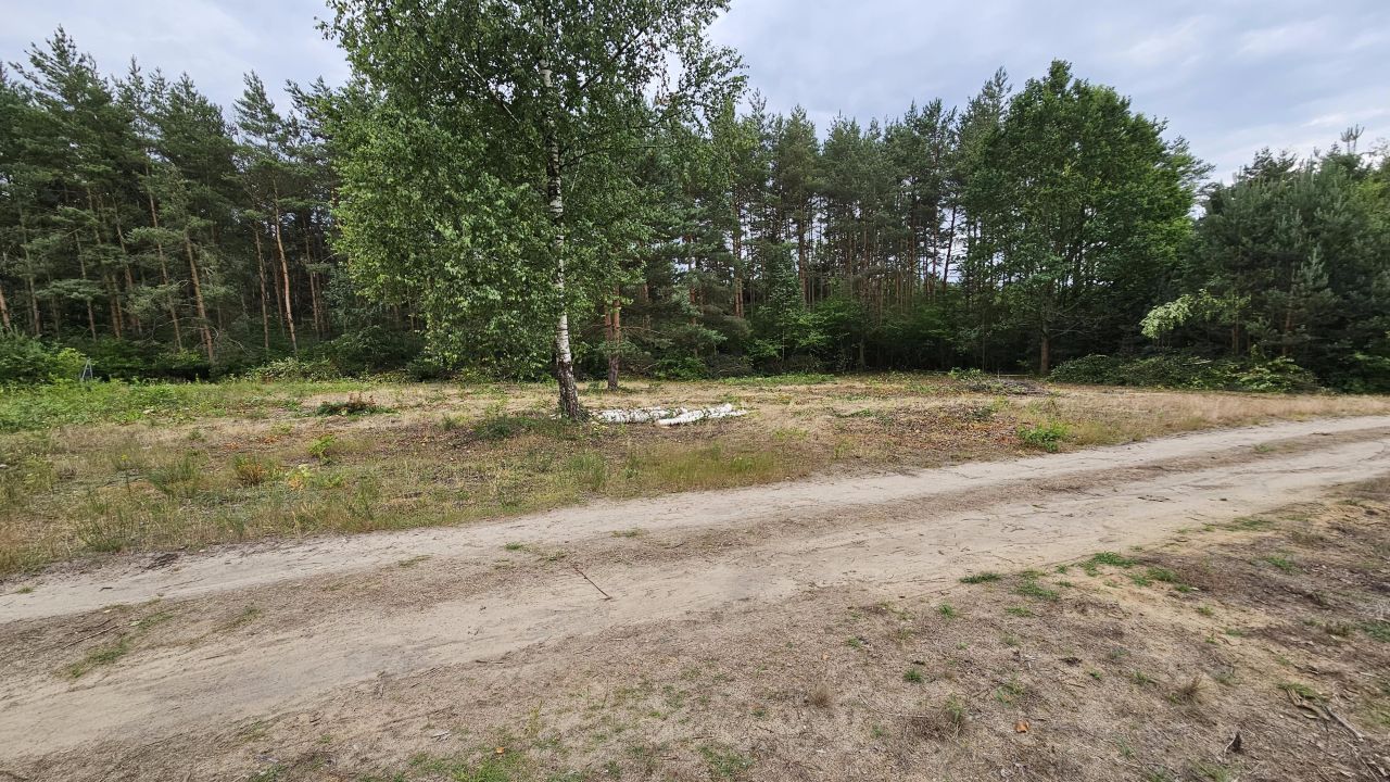 Działka budowlana Musuły, ul. Lukrecji. Zdjęcie 7