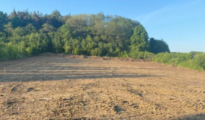 Działka budowlana Ziębice, ul. Sportowa