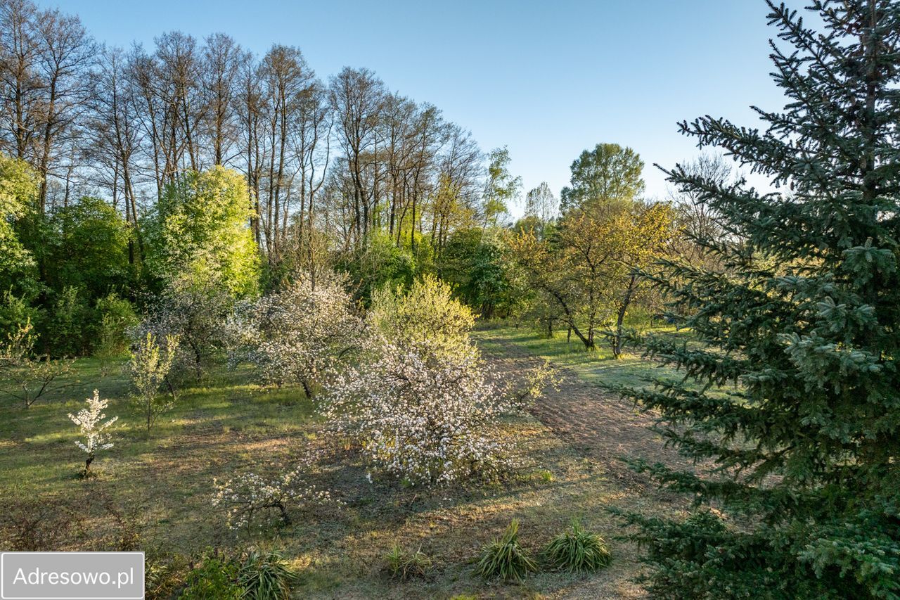bliźniak Kolonia Sochocin. Zdjęcie 7