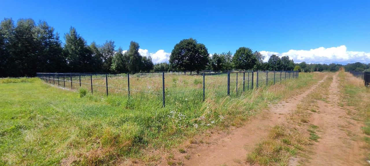 Działka rolno-budowlana Brodowo. Zdjęcie 2