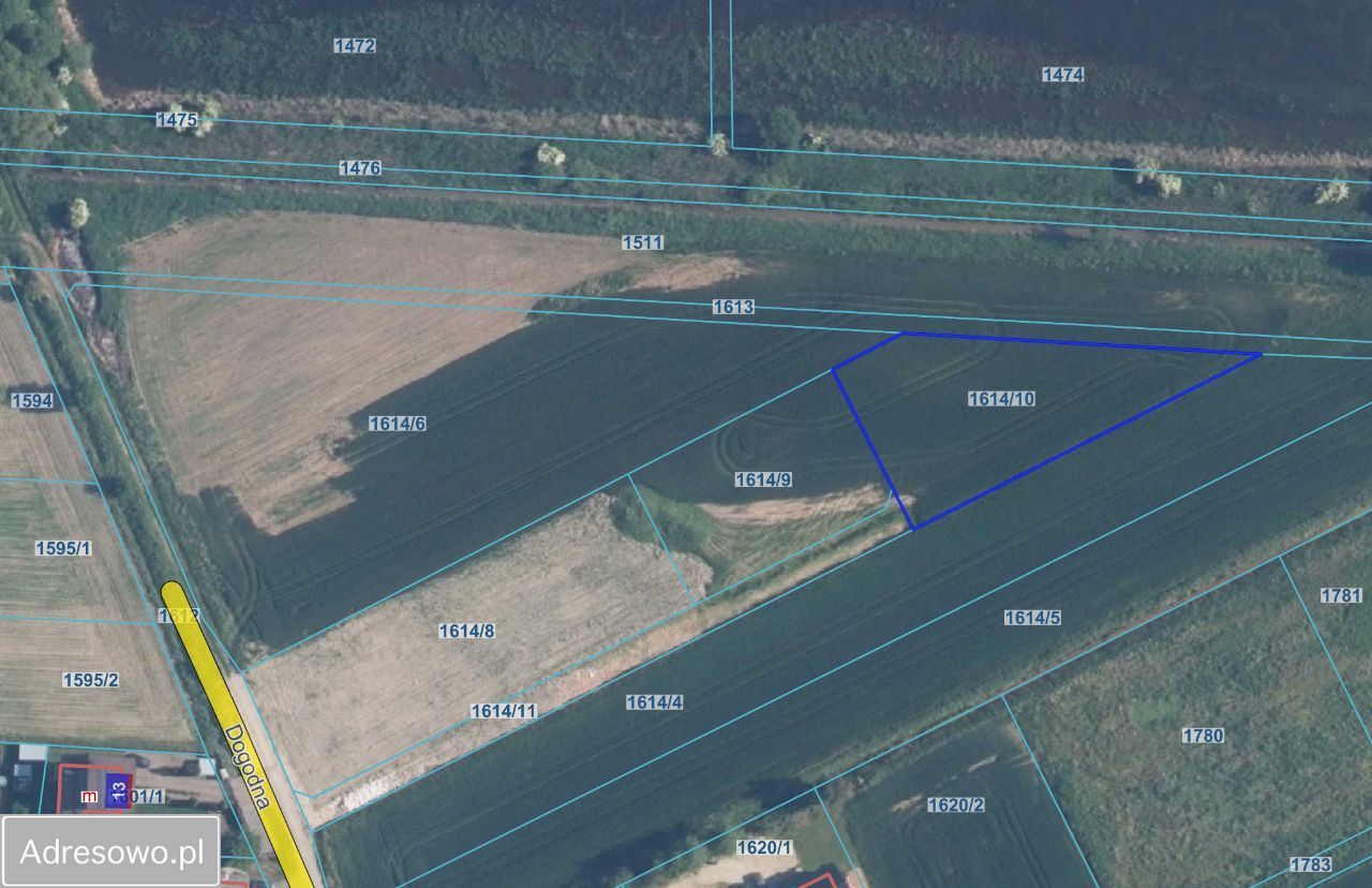 Działka budowlana Stawy Monowskie. Zdjęcie 2