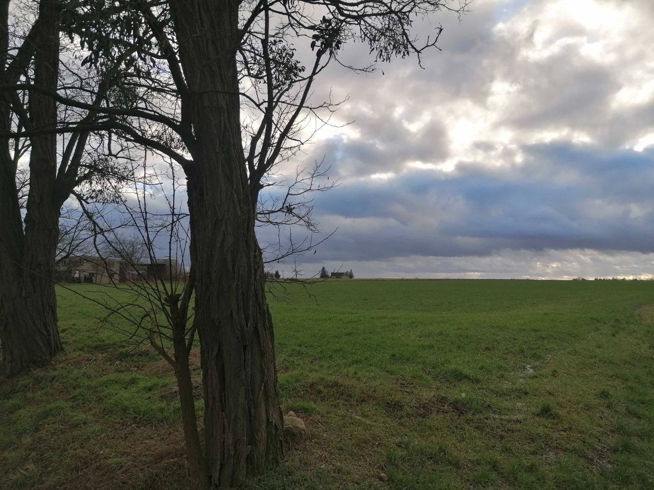 Działka budowlana Wronki. Zdjęcie 7