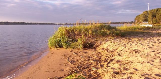 Działka rekreacyjna Tresta, ul. Olszynowa. Zdjęcie 1