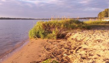 Działka rekreacyjna Tresta, ul. Olszynowa