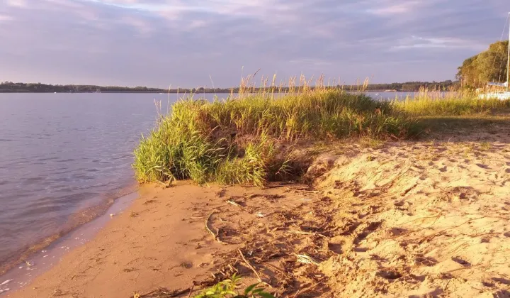 Działka rekreacyjna Tresta, ul. Olszynowa