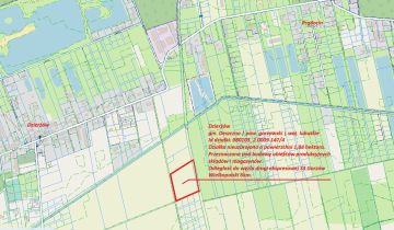 Działka inwestycyjna Dzierżów