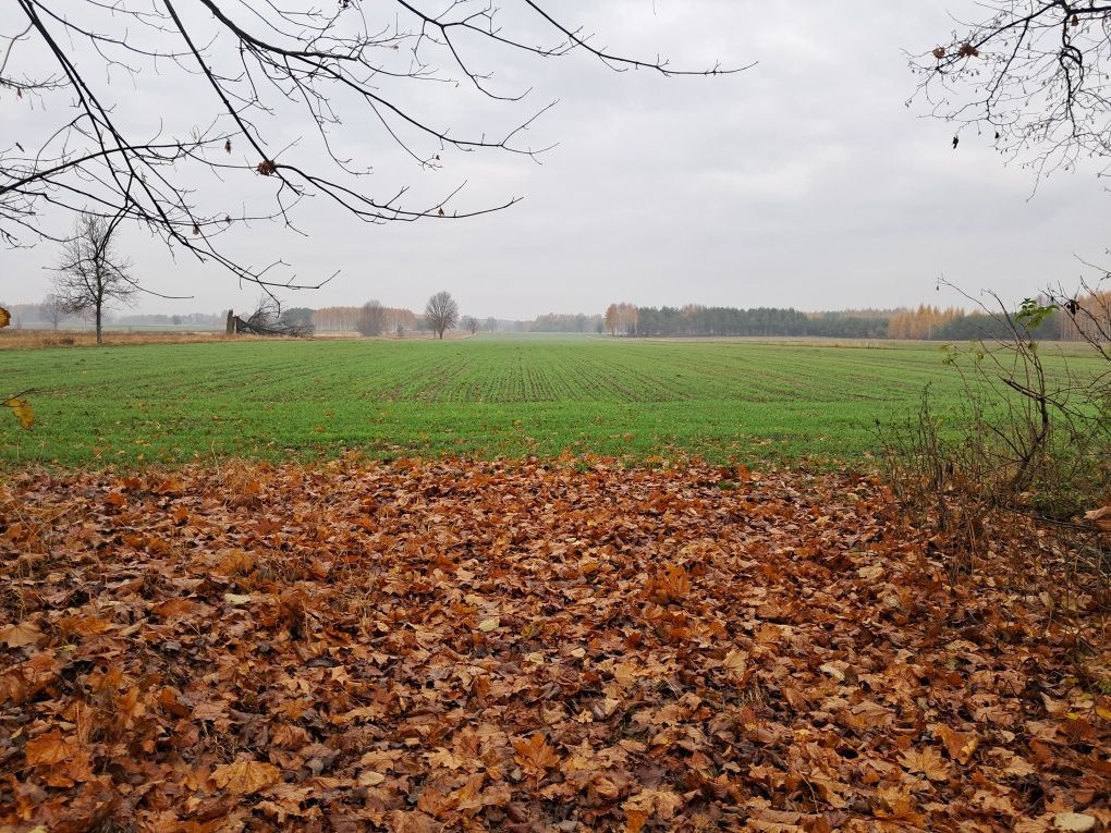 Działka rolno-budowlana Stanisławów Duży. Zdjęcie 3