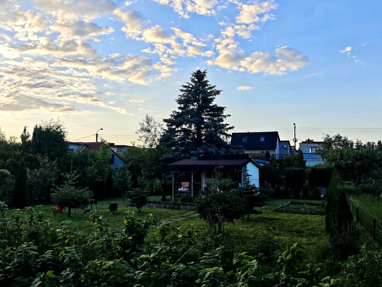 Działka rod Zgierz Rudunki, ul. Adama Asnyka. Zdjęcie 18