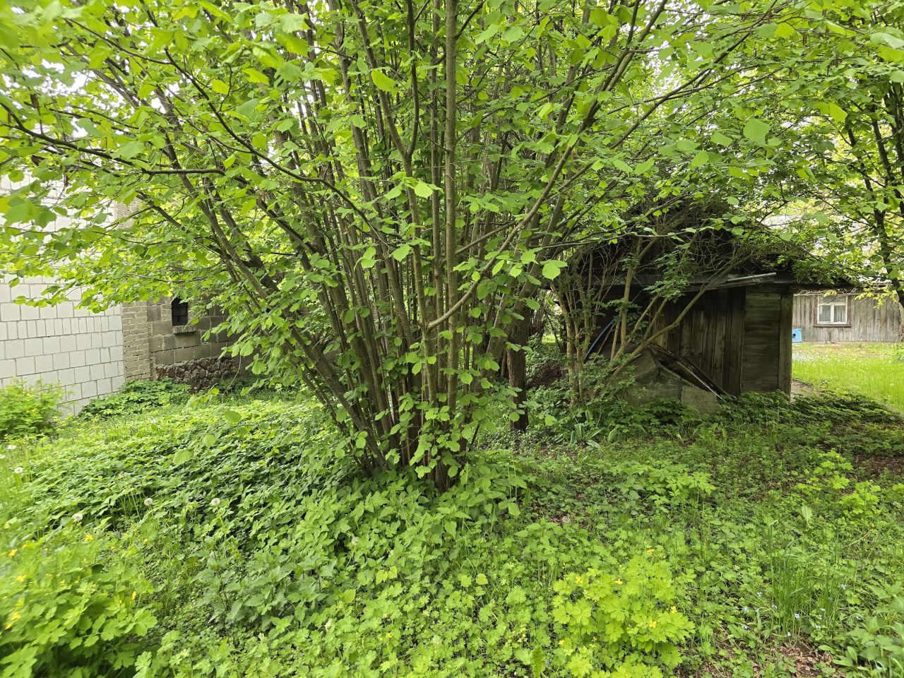 dom wolnostojący, 3 pokoje Żelechów, ul. Długa. Zdjęcie 11