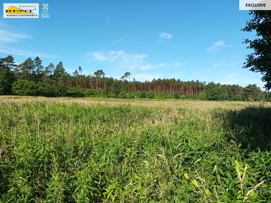 Działka inwestycyjna Szczecin Wielgowo. Zdjęcie 3